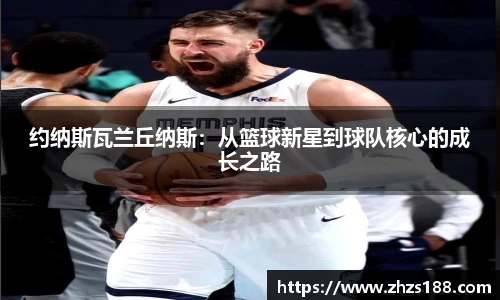 今年会平台入口